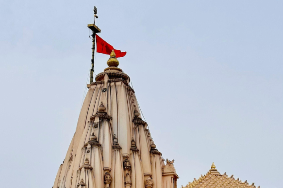 Gujarat Heritage & Wildlife Expedition – 7D 6N