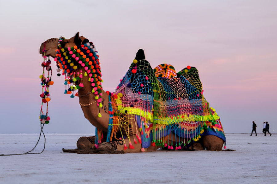 Kutch Rann Utsav Experience 3D 2N