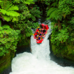 Explore Wild India