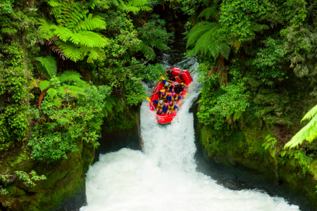 Explore Wild India